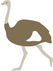 ダチョウのボタン