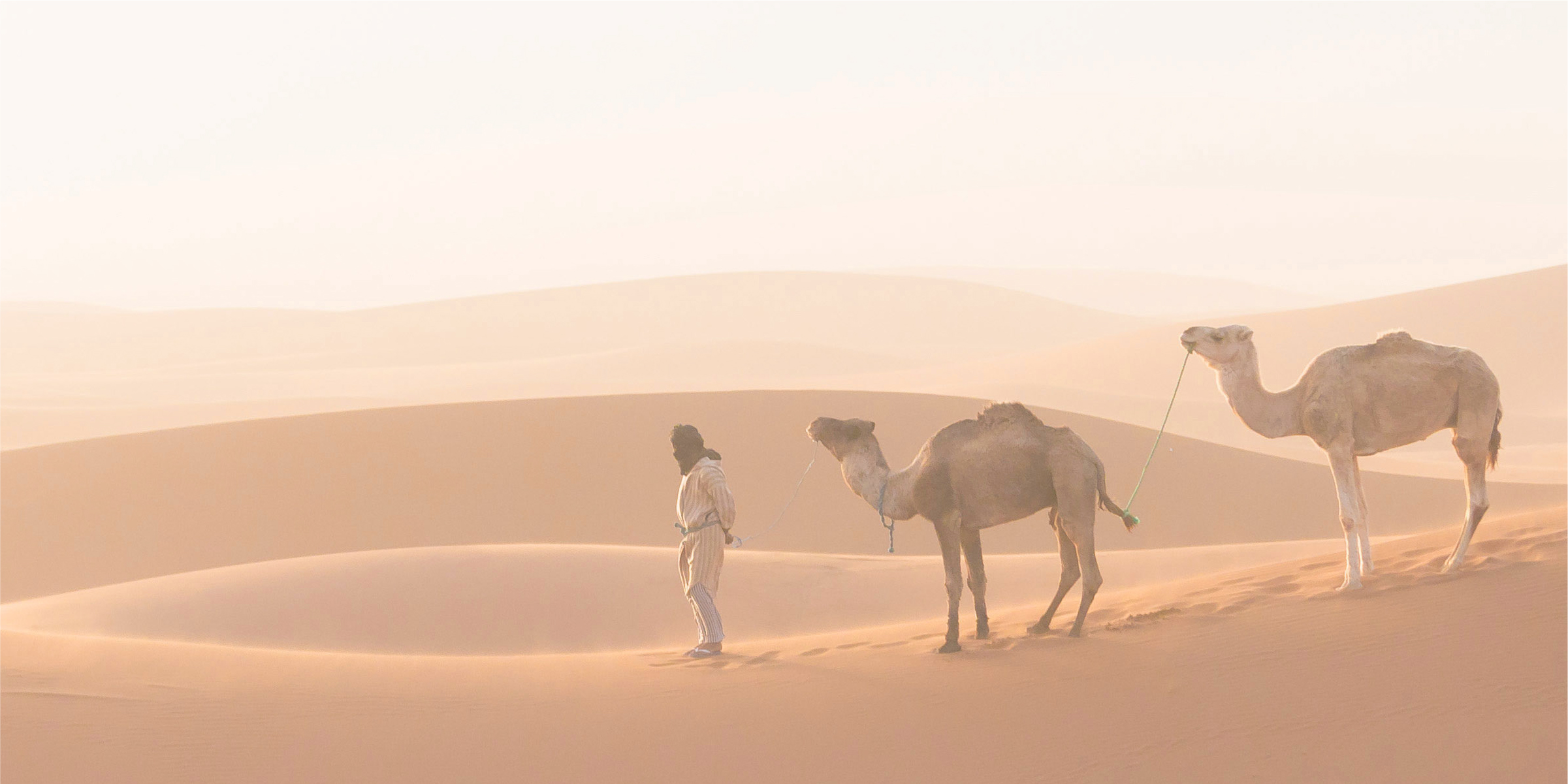 トップの砂漠の画像